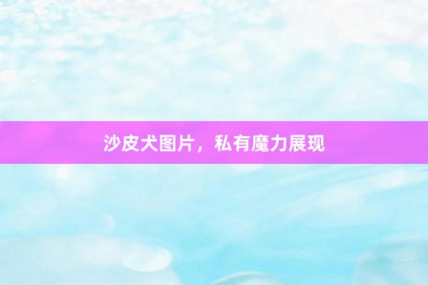 沙皮犬图片,私有魔力展现